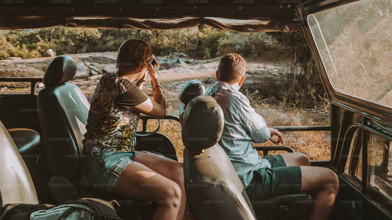 Safari por el Parque Nacional Yala desde Ahangama