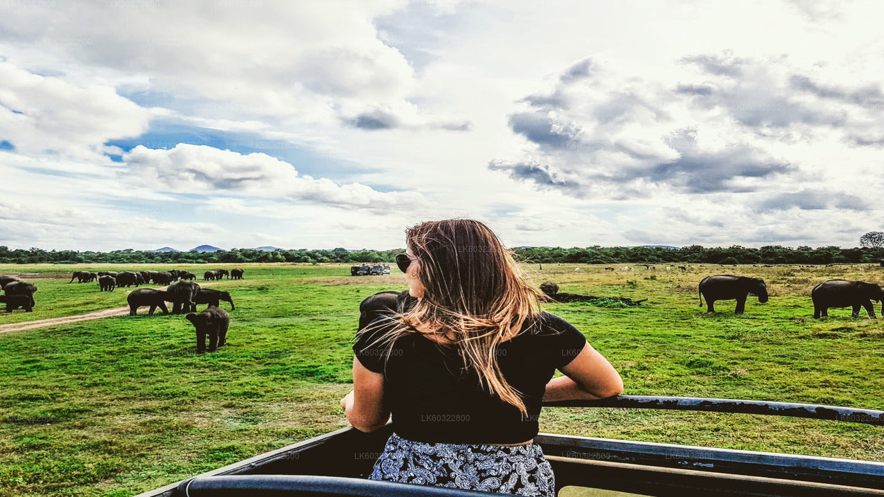 Safari en el Parque Nacional de Kaudulla desde Habarana