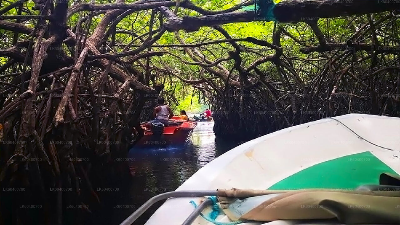 Recorrido por la ciudad de Bentota y Galle desde Ahungalla