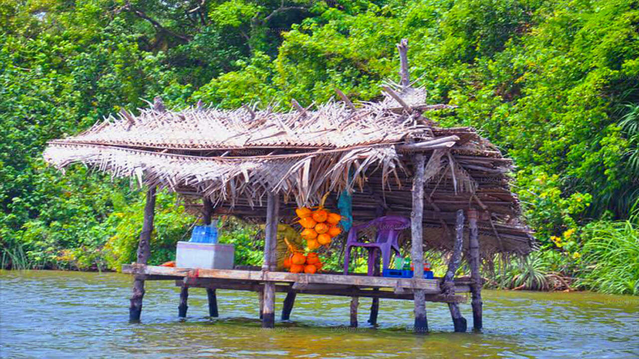 Recorrido por la ciudad de Bentota y Galle desde Ahungalla