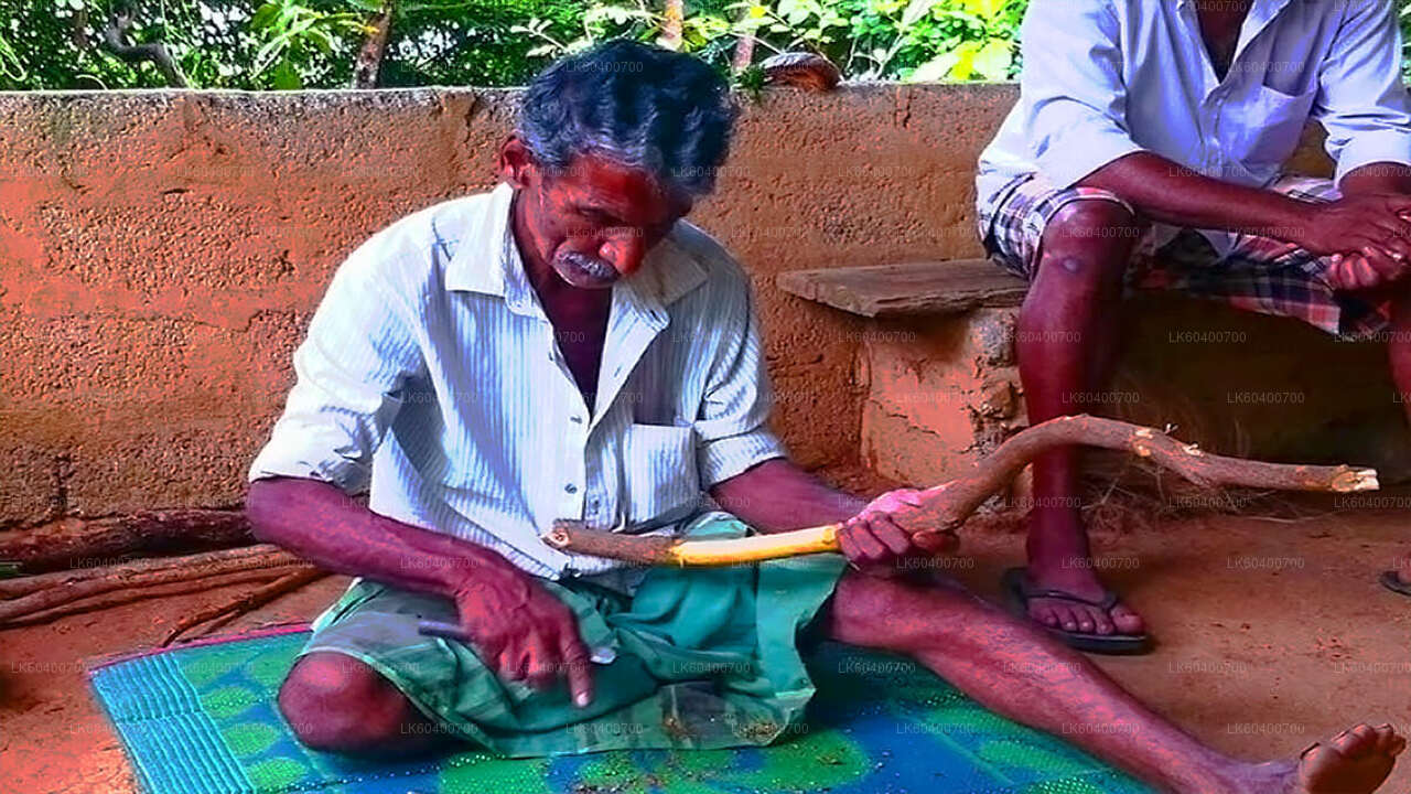 Recorrido por la ciudad de Bentota y Galle desde Ahungalla