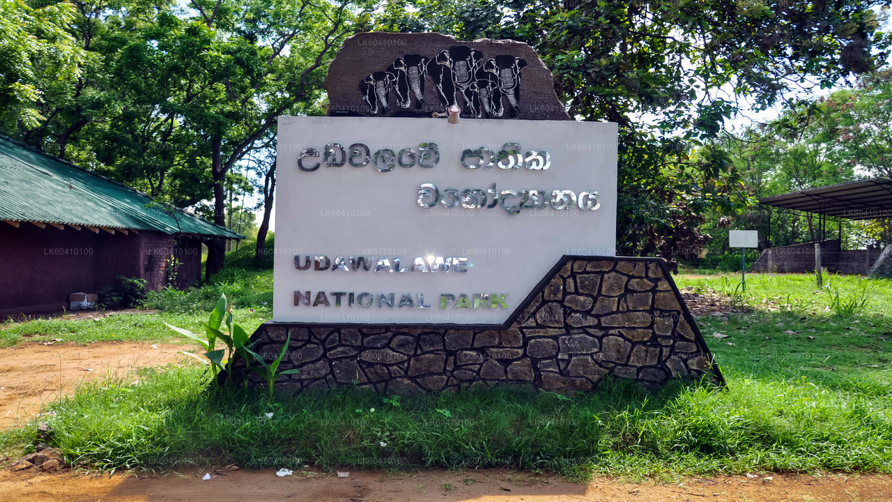 Safari por el Parque Nacional Udawalawe desde Unawatuna