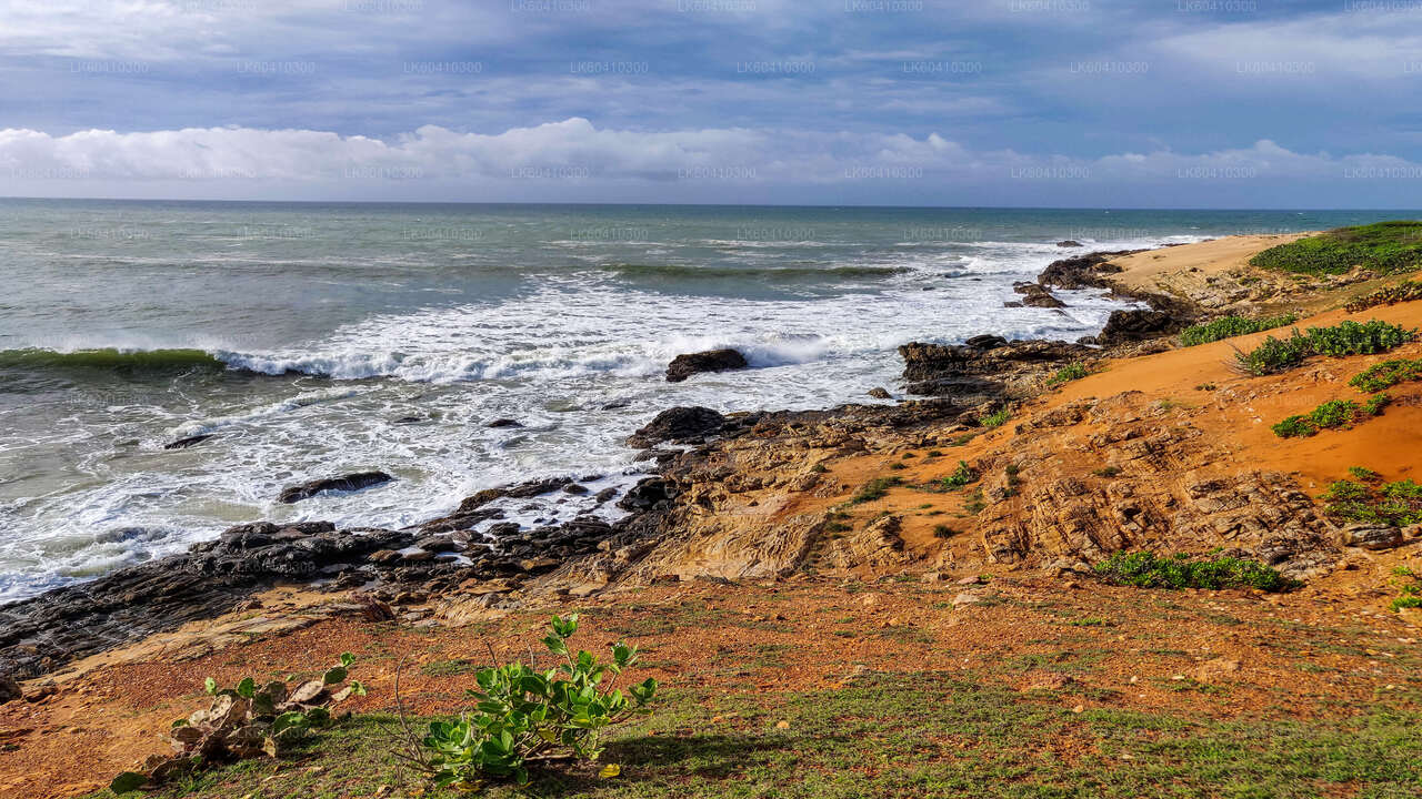 Safari por el Parque Nacional Bundala desde Unawatuna