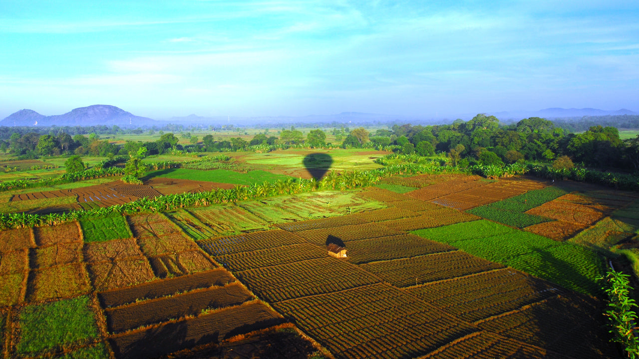 Paseo en globo aerostático desde Dambulla