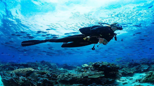 Buceo desde Hikkaduwa