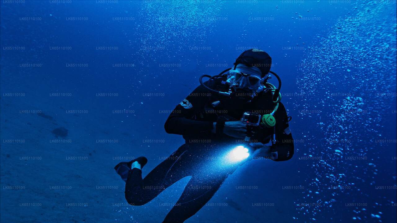 Buceo profesional desde Bentota