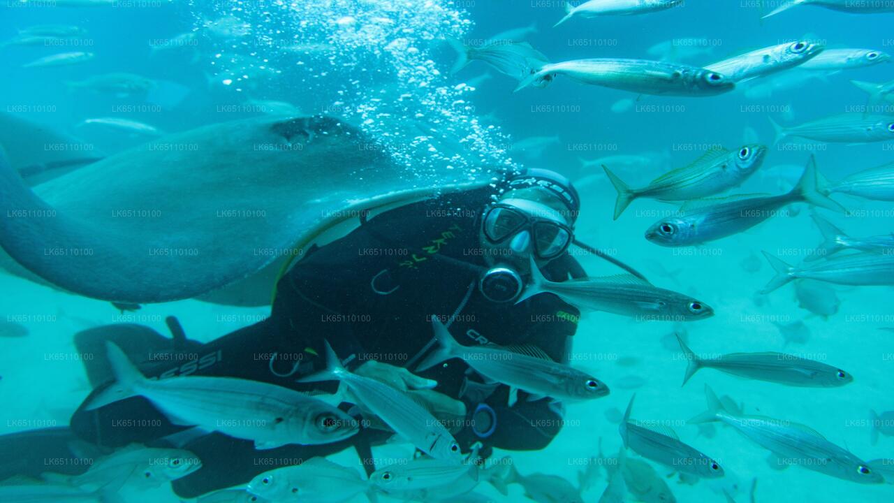 Buceo profesional desde Bentota