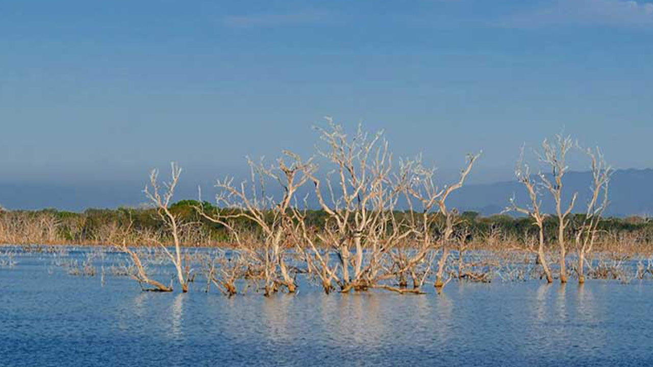 Entradas al Parque Nacional Lunugamvehera