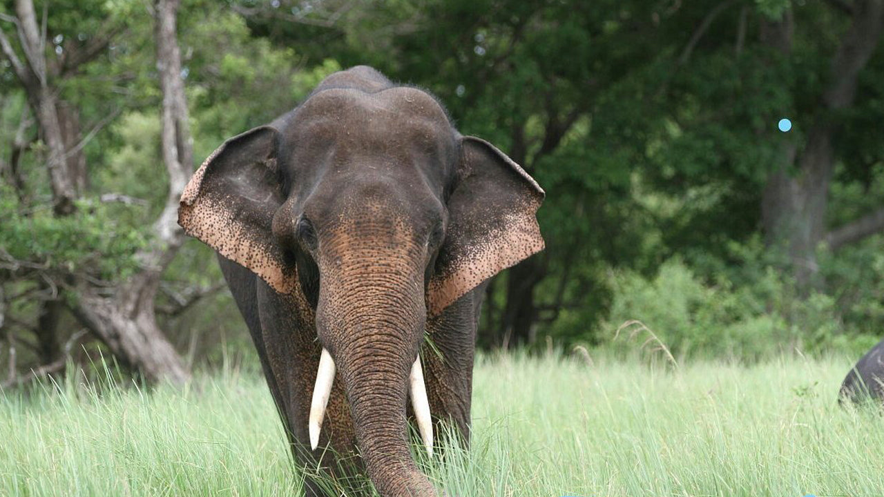 Entradas al Parque Nacional Kala Wawe