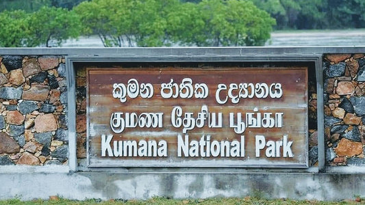 Entrance sign for Kumana National Park in Sri Lanka, featuring text in Sinhala script on a concrete structure with natural surroundings.