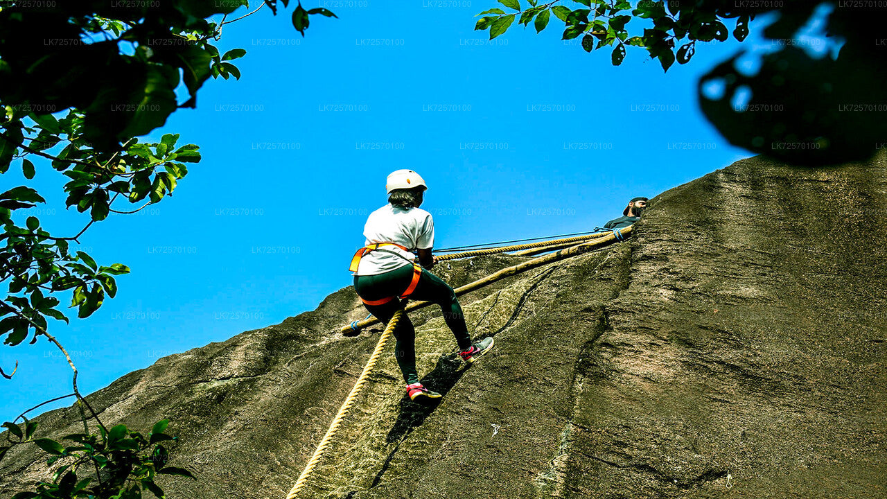 Escalada en roca forestal desde Horana