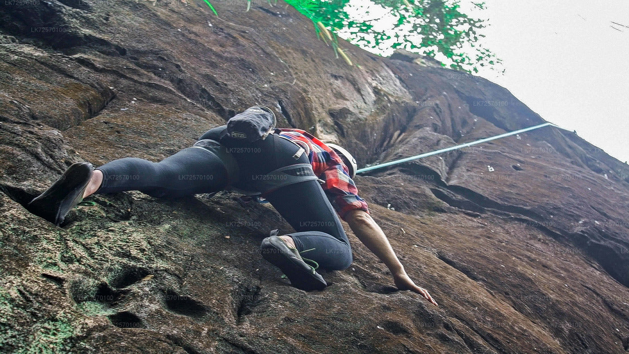 Escalada en roca forestal desde Horana