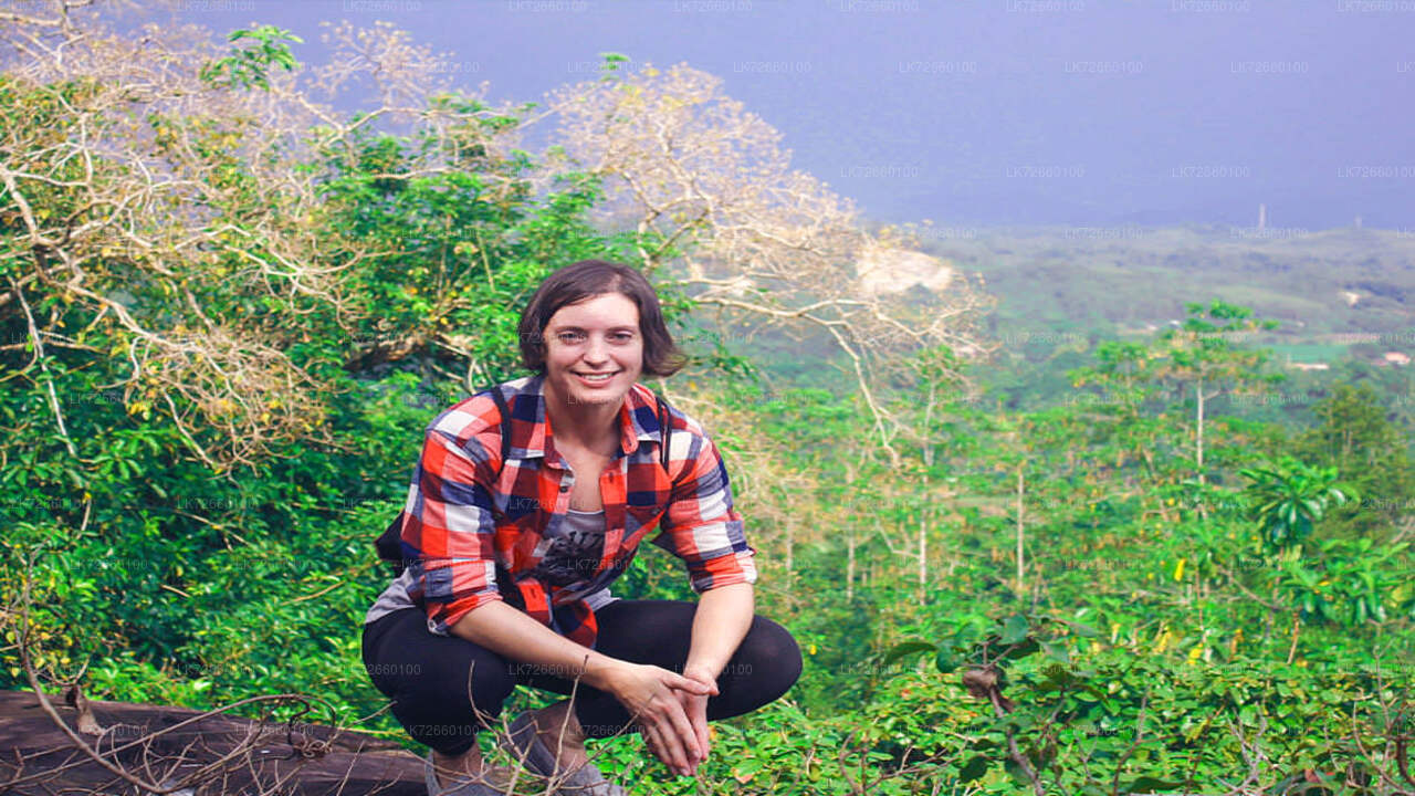 Escalada en roca forestal desde el monte Lavinia