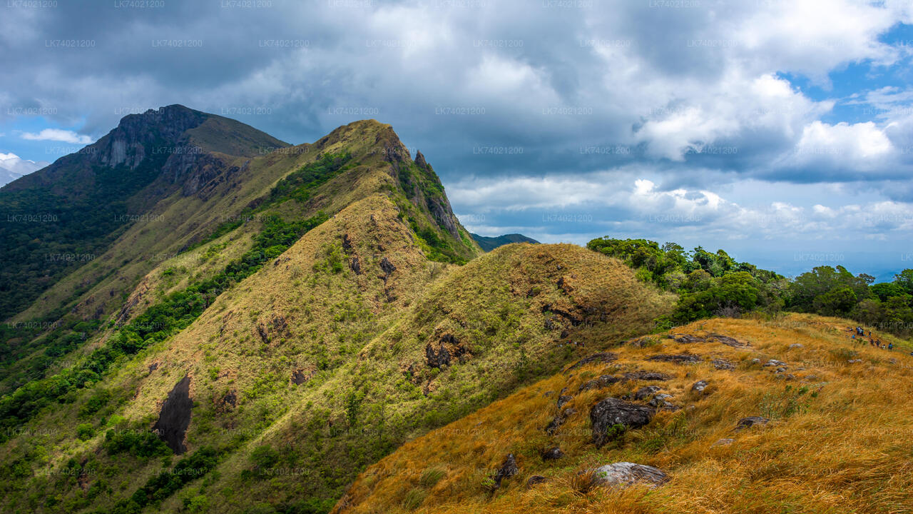 Caminata a Kehelpothdoruwegala desde Kandy