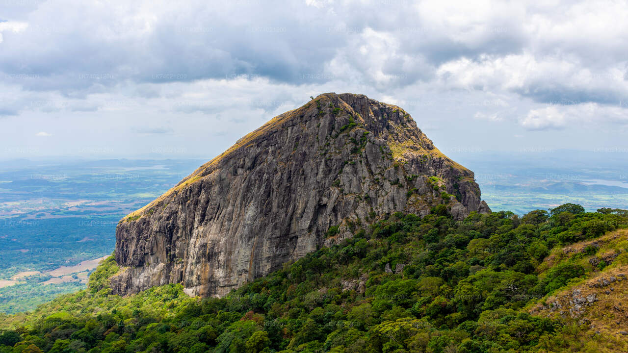 Caminata a Kehelpothdoruwegala desde Kandy