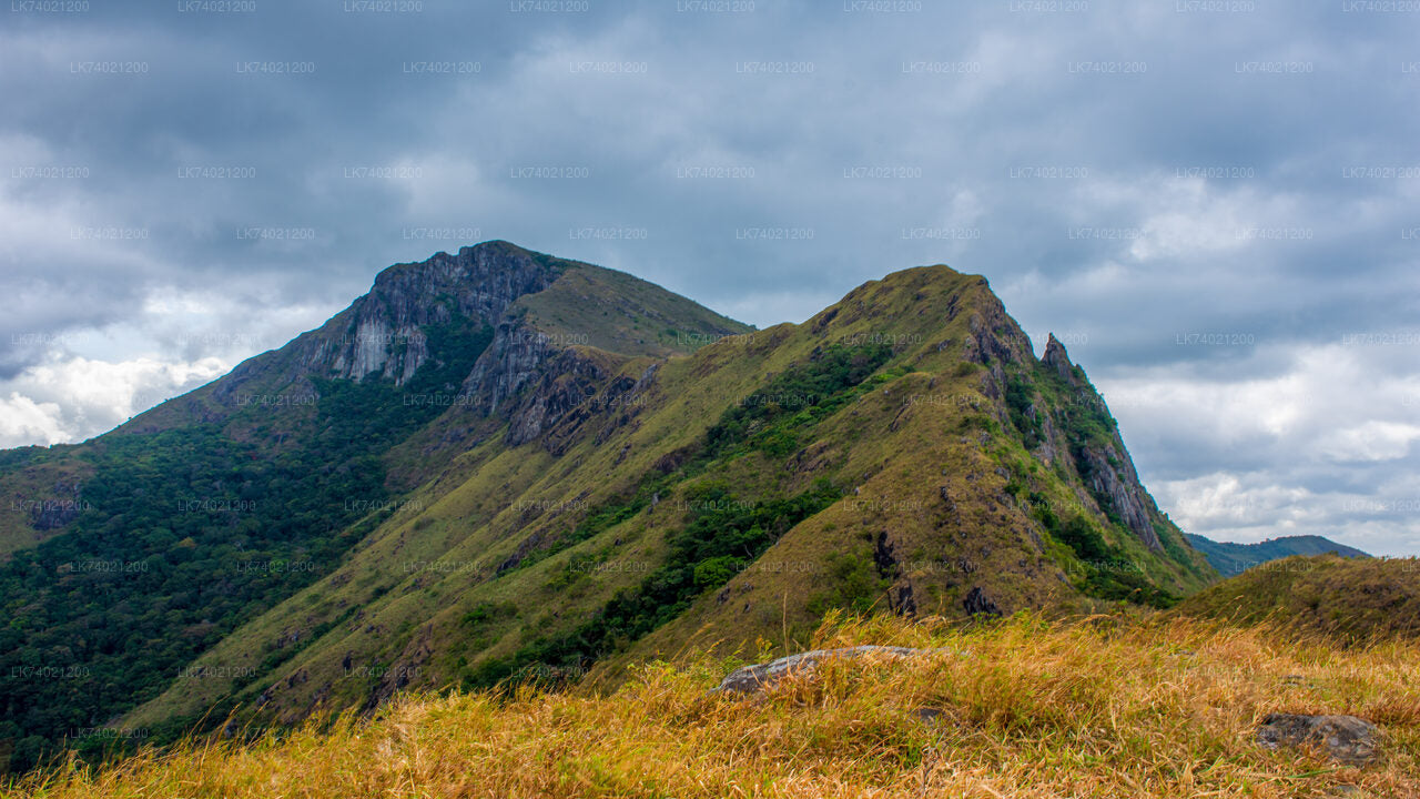 Caminata a Kehelpothdoruwegala desde Kandy