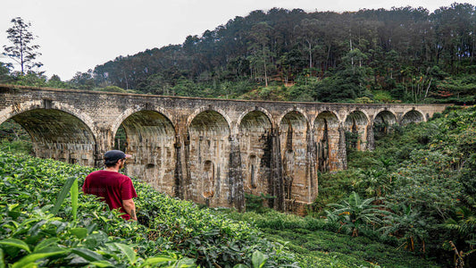 Camina hasta Little Adam's Peak y el puente de los Nueve Arcos desde Ella