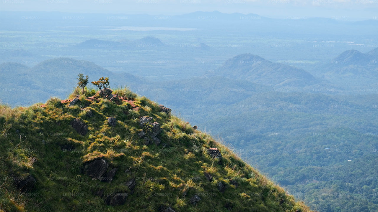 Excursión de senderismo a Ella Tres iconos de Ella