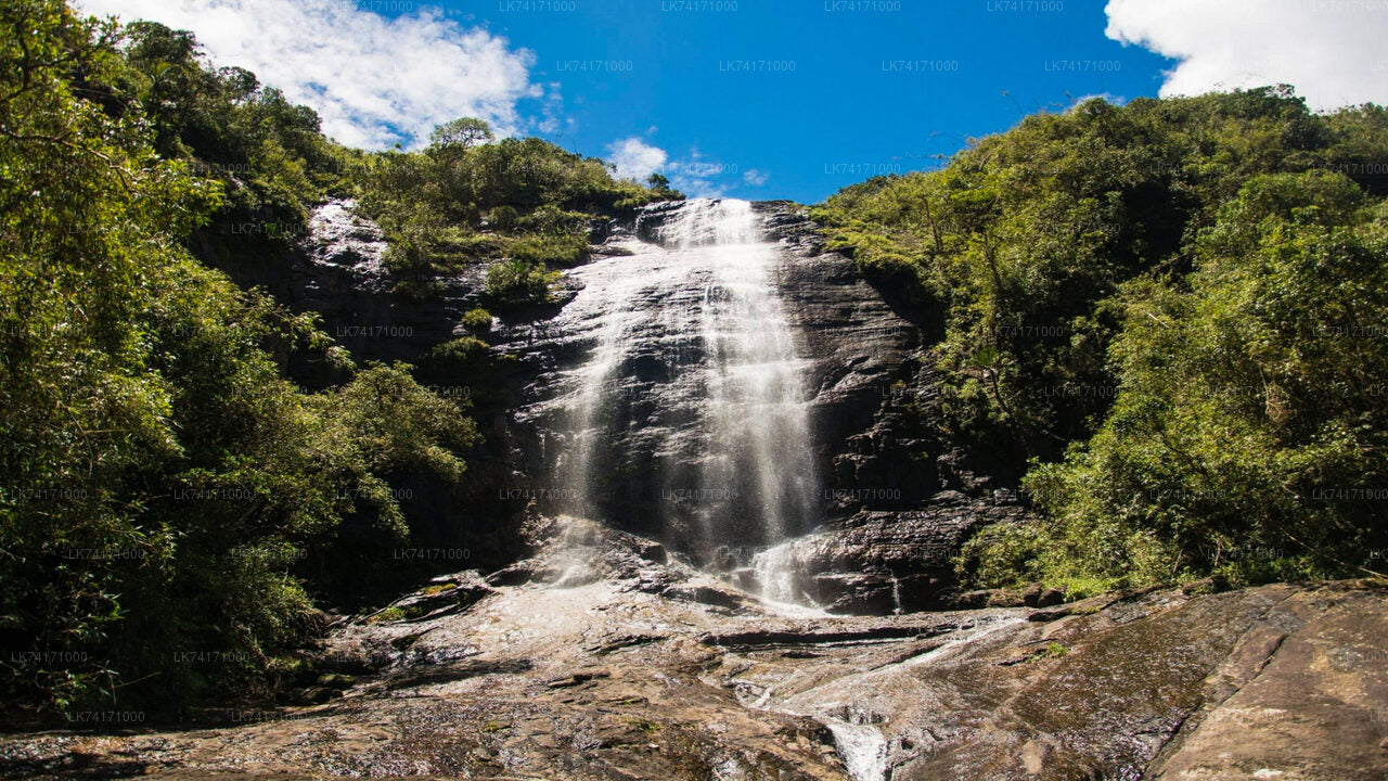Excursión a la aldea de Heeloya desde Kandy