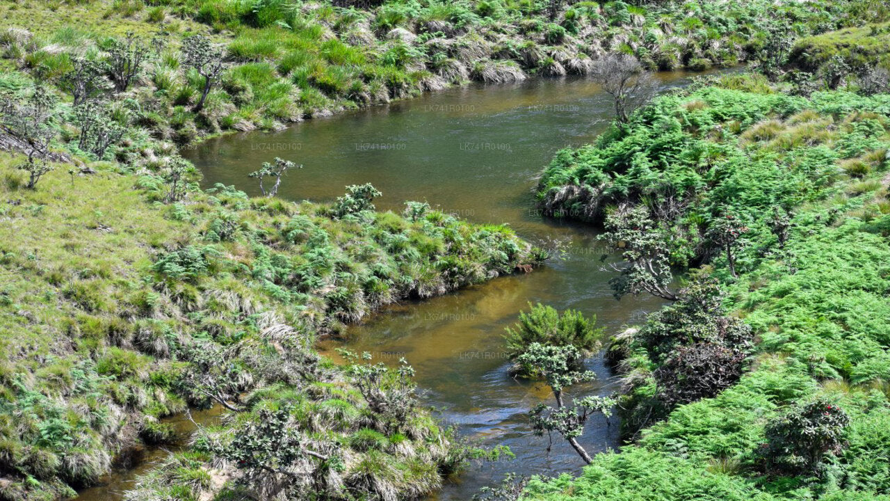 Caminata por el Parque Nacional Horton Plains desde Nuwara Eliya