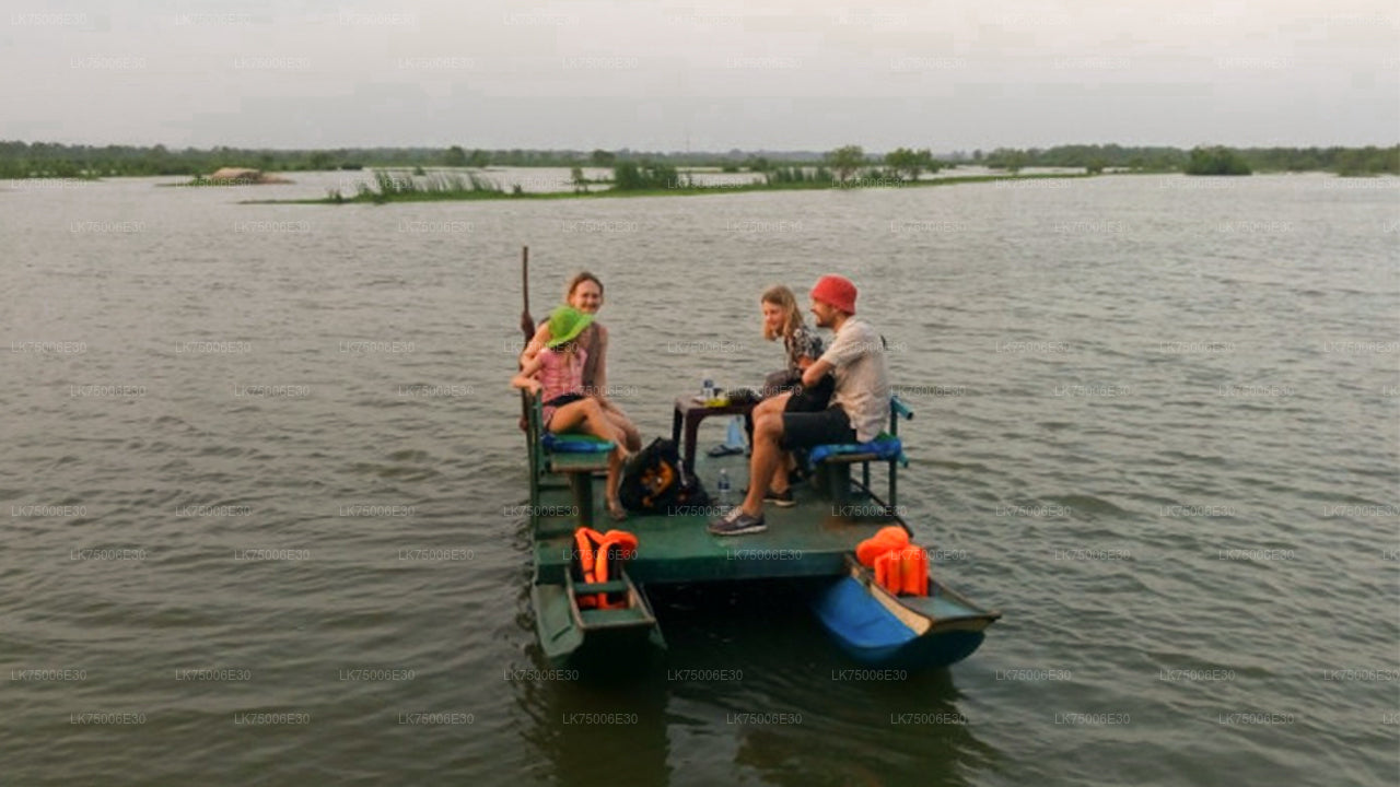 Observación de aves en barco en el Santuario de Kalametiya desde Tangalle

