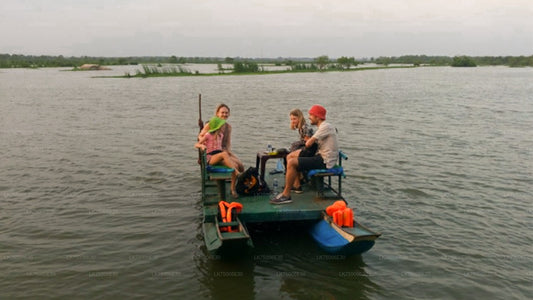 Observación de aves en barco en el Santuario de Kalametiya desde Tangalle
