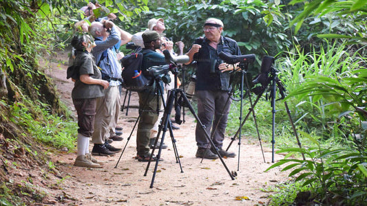 Observación de aves en Kitulgala desde el monte Lavinia