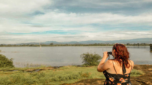 Safari de observación de aves en el Parque Nacional Udawalawe desde el monte Lavinia