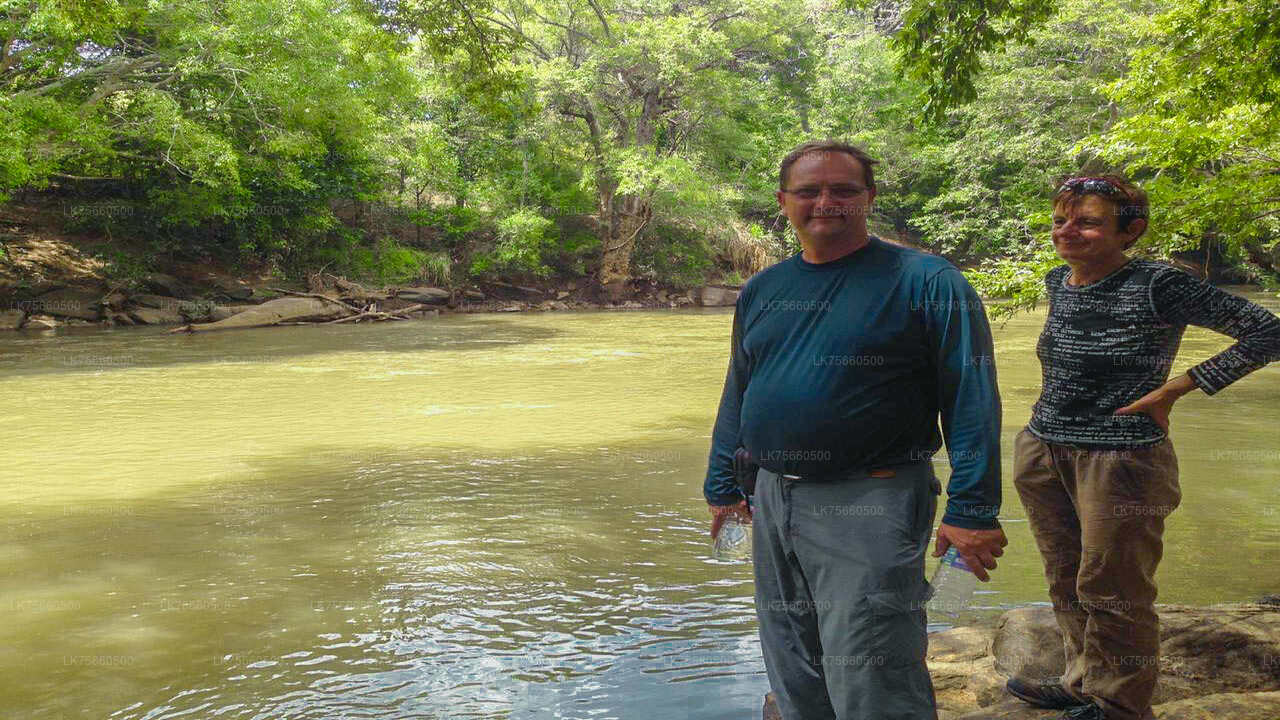 Safari de observación de aves en el Parque Nacional Udawalawe desde el monte Lavinia