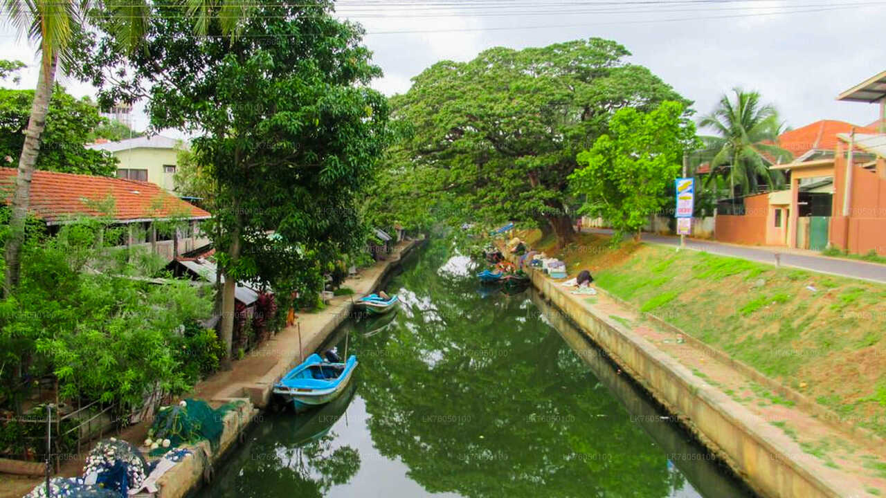 Recorrido en barco por los canales holandeses desde Negombo