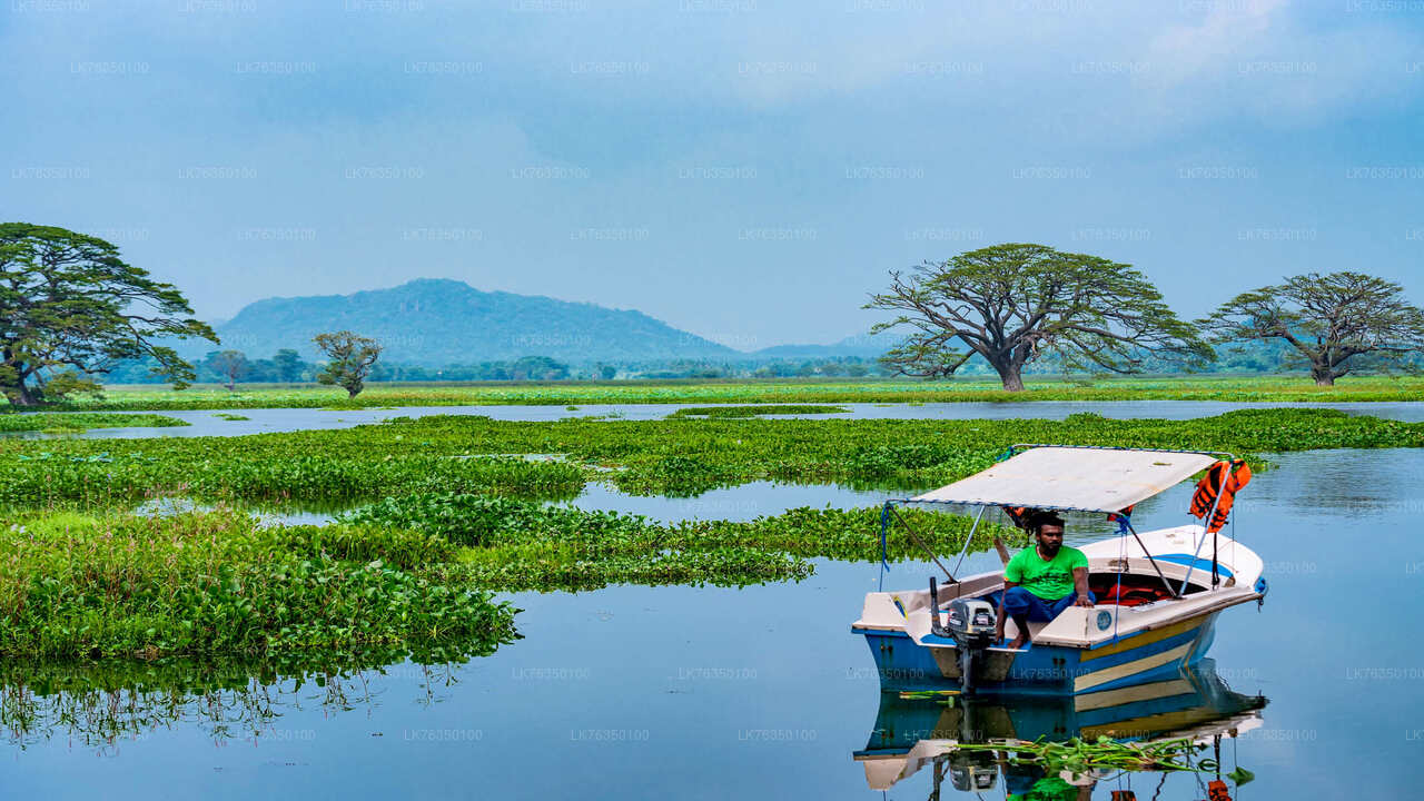 Paseo en barco por el lago Tissamaharama