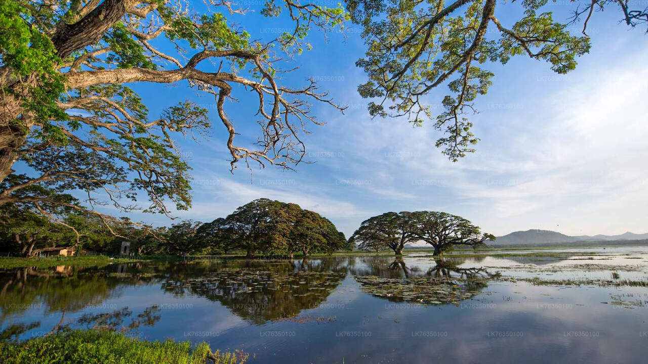 Paseo en barco por el lago Tissamaharama