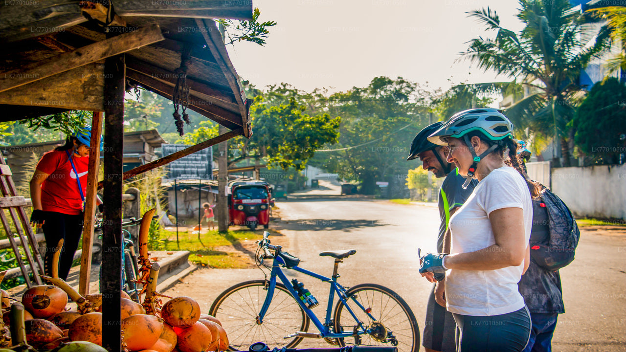 Colombo Countryside Cycling Tour