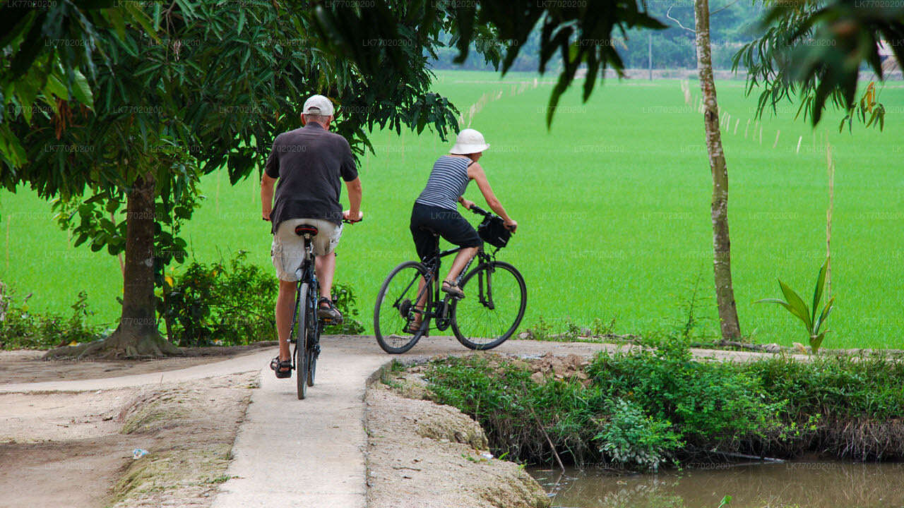 Recorrido en bicicleta por el campo de batalla de Balana desde Kandy