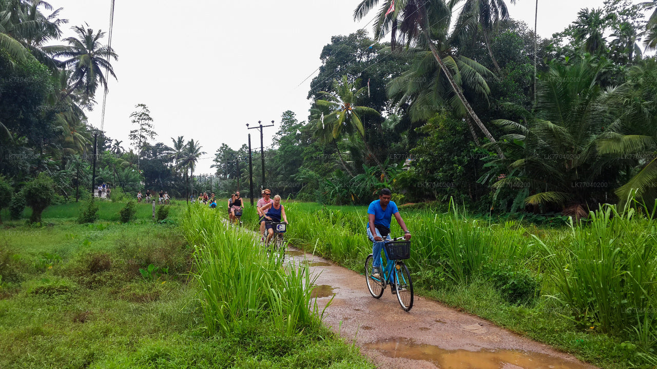 Lagoon Village en bicicleta desde Galle