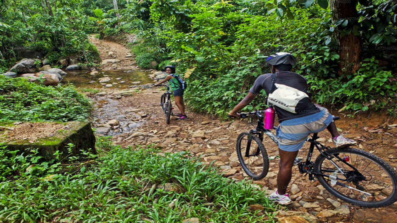 Ciclismo de montaña desde Galle Person