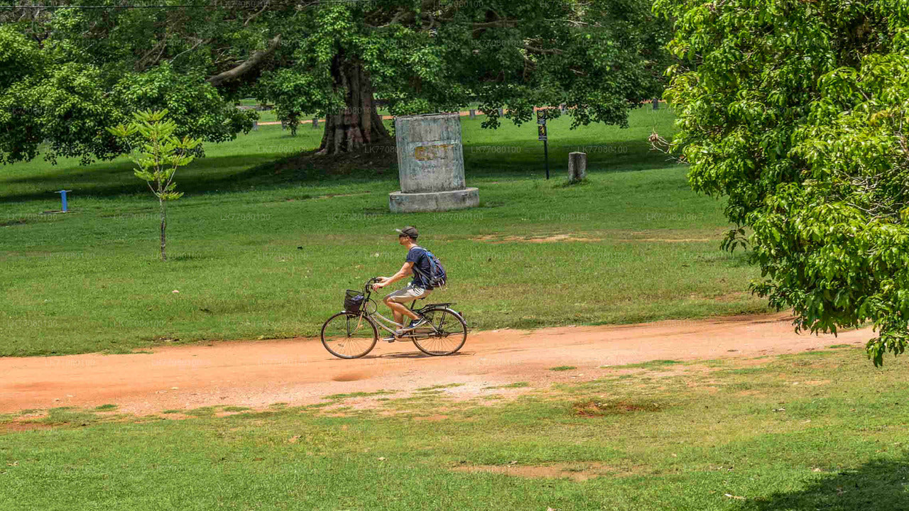 Ciclismo desde Mirissa