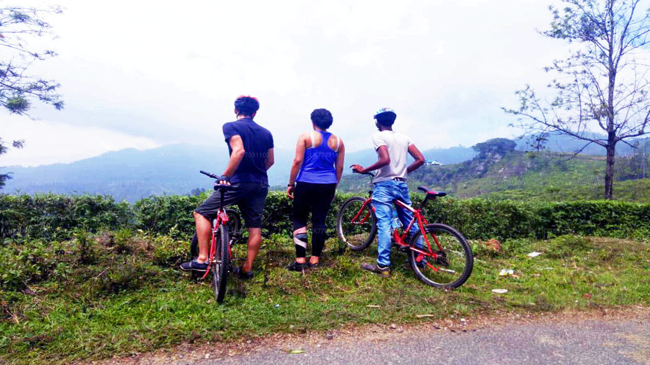 Ciclismo de aventura desde Ella