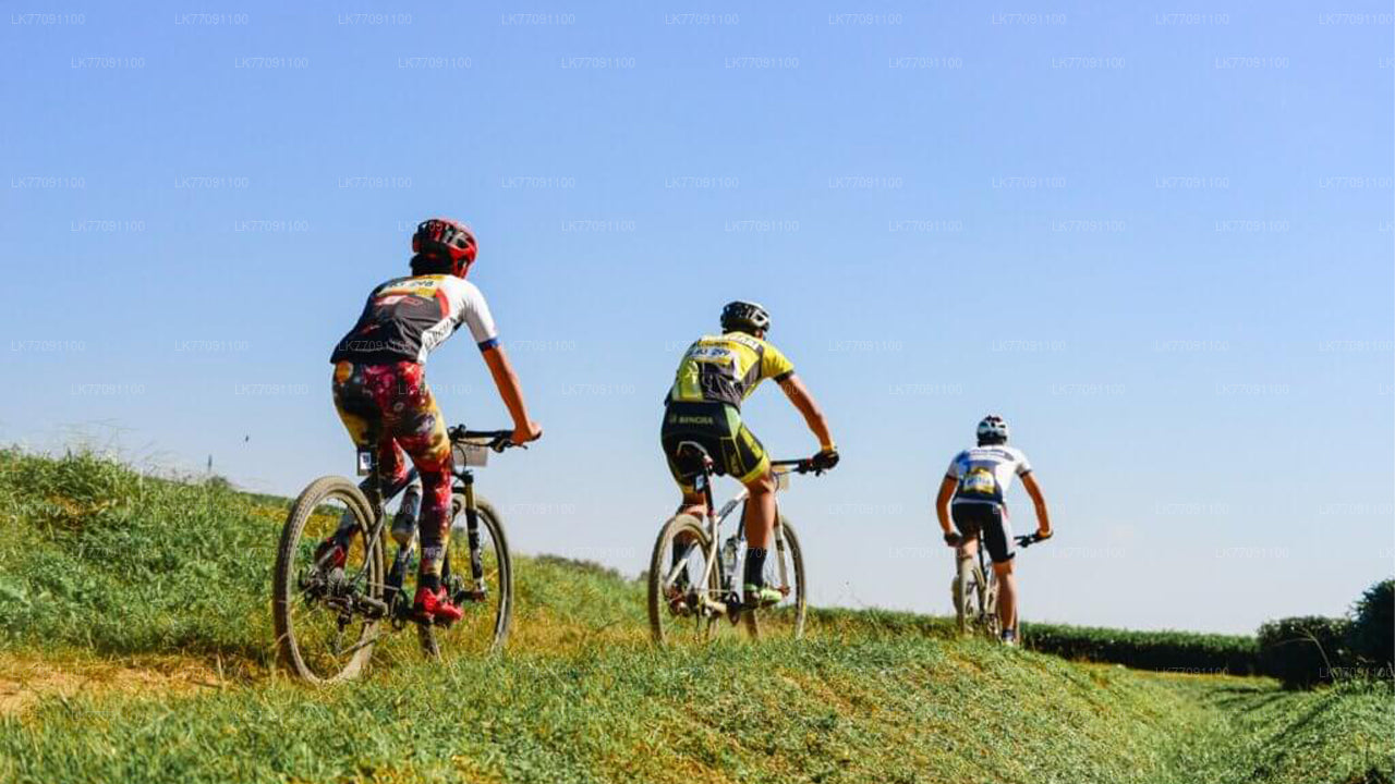 Ciclismo de aventura desde Ella