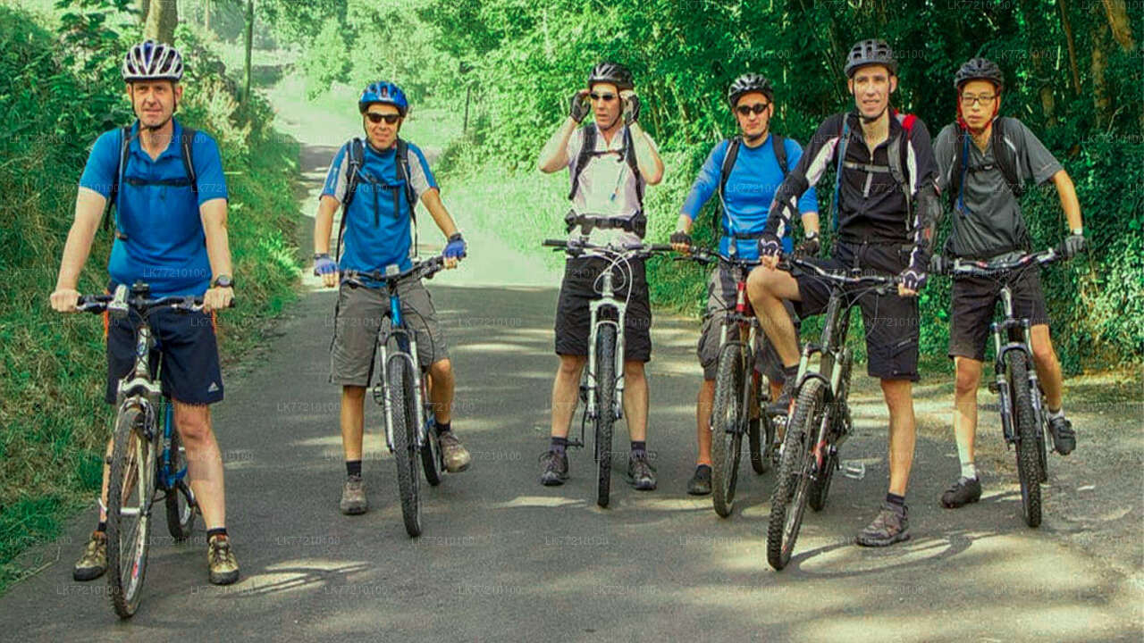 Recorrido en bicicleta por Mulkirigala desde Tangalle