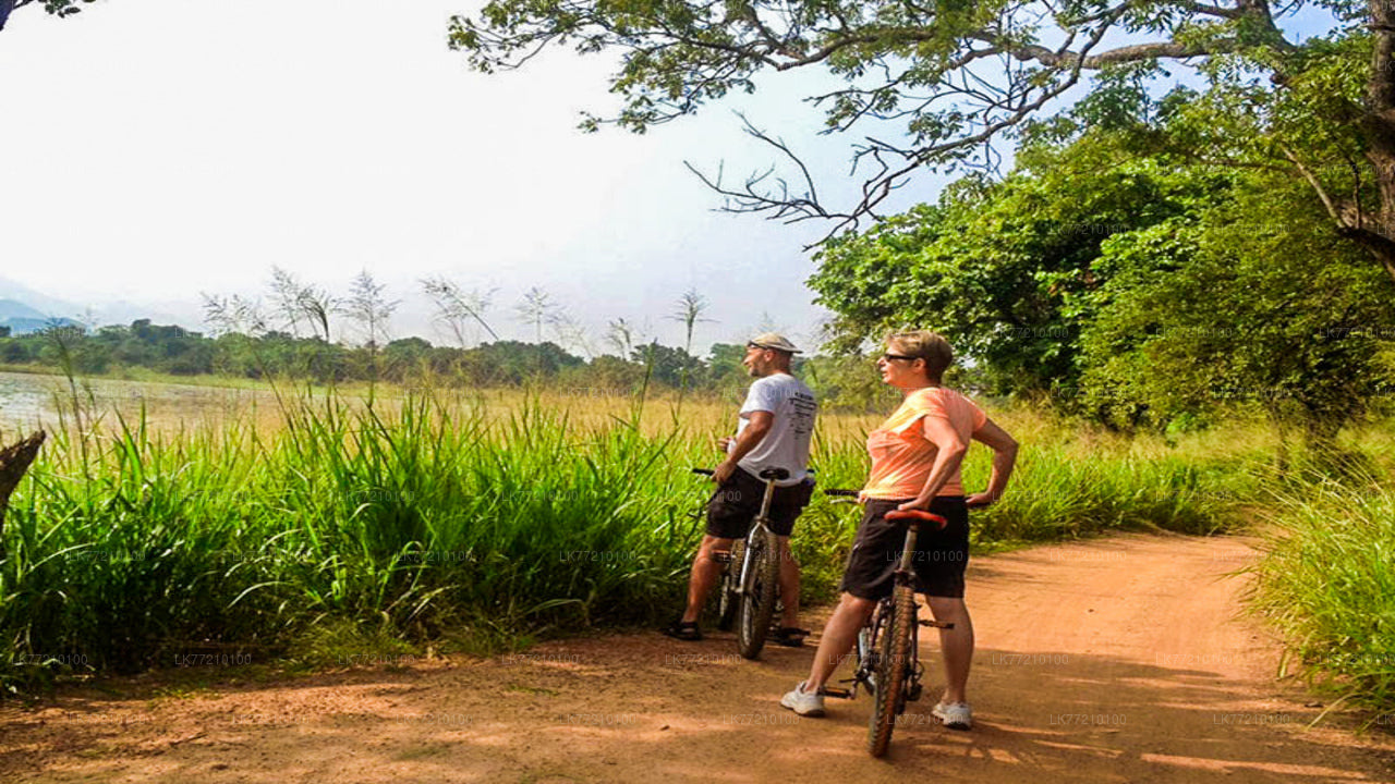 Recorrido en bicicleta por Mulkirigala desde Tangalle