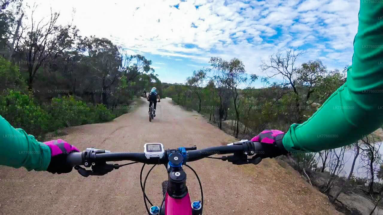 Recorrido en bicicleta por los humedales de Thalangama desde Colombo