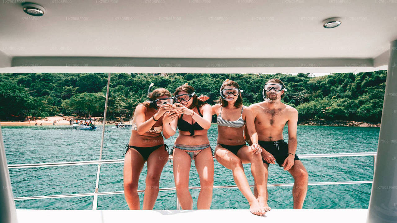 Crucero de 3 noches en Mirissa