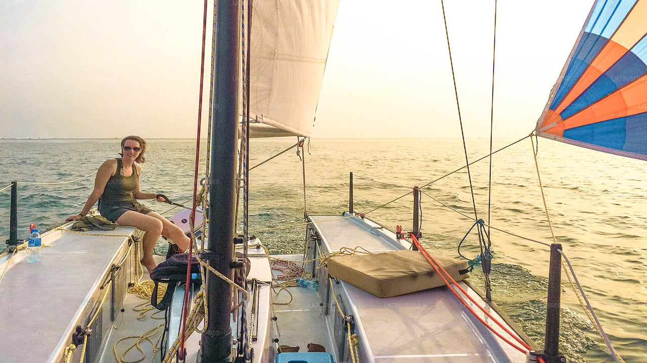 Crucero de 3 noches en Mirissa