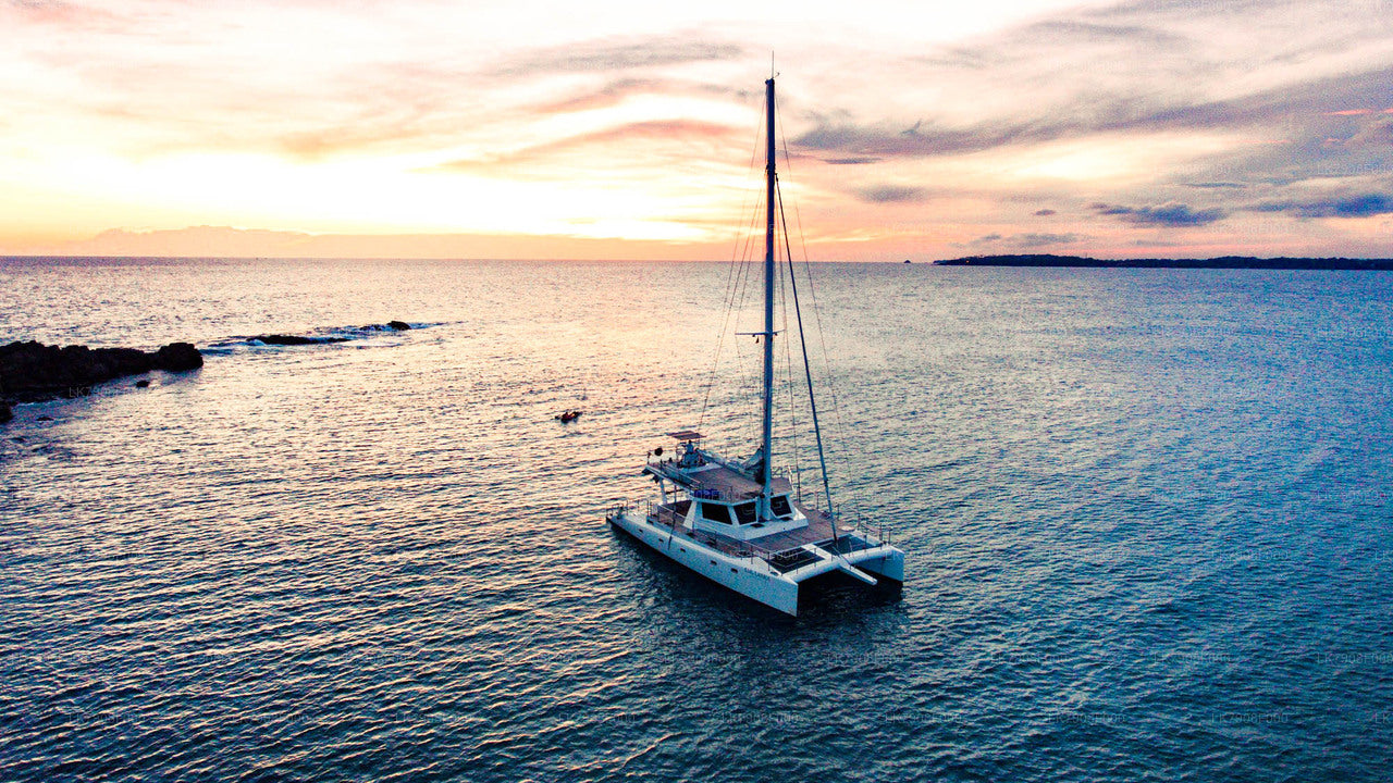 Crucero de 3 noches en Mirissa