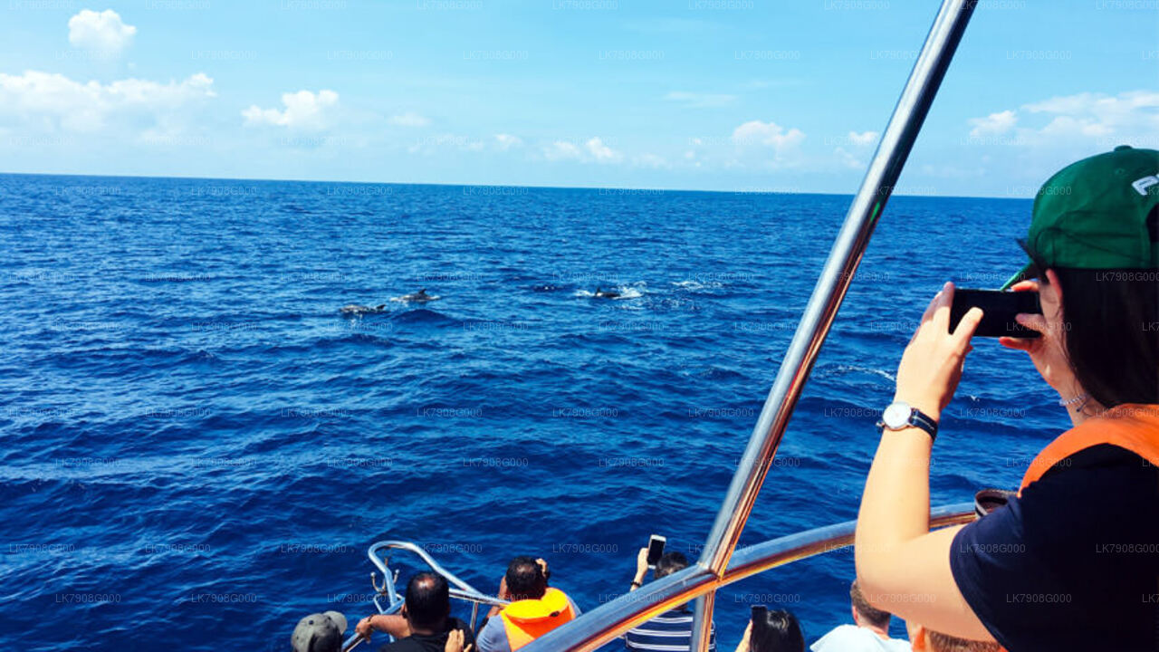 Crucero de 2 noches en Mirissa