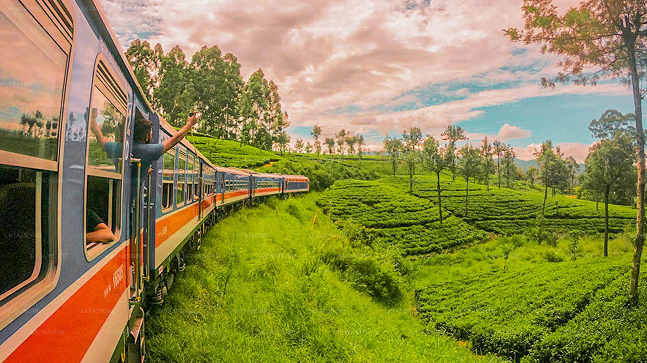 Viaje de Kandy a Ella en tren (número de tren: 1015 «Udarata Menike»)