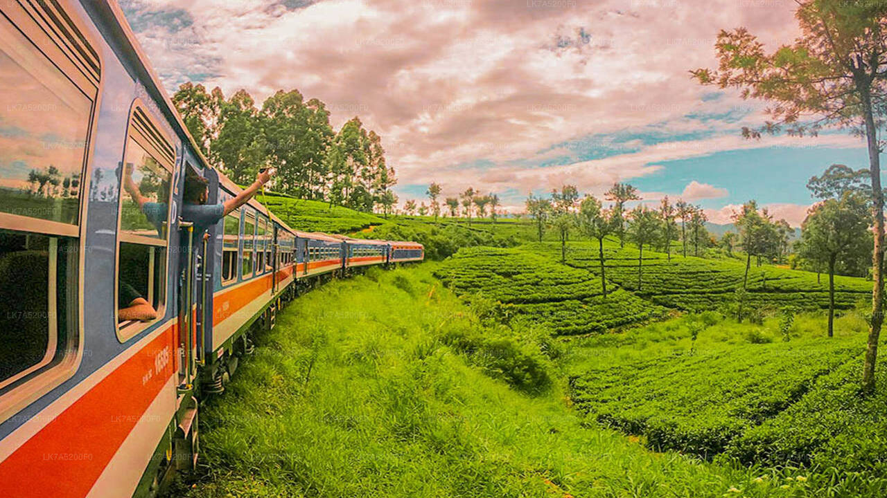 Viaje en tren de Ella a Peradeniya (número de tren: 1002 «Denuwara Menike»)