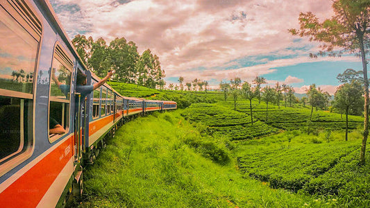 Viaje en tren de Ella a Peradeniya (número de tren: 1002 «Denuwara Menike»)