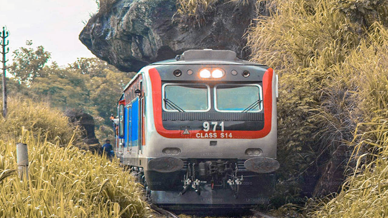 Viaje en tren de Ella a Peradeniya (número de tren: 1002 «Denuwara Menike»)